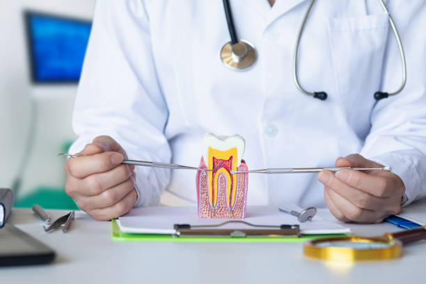 Best Walk-In Emergency Dentist in Fairfax, MN